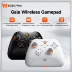 BIGBIG Won Gale Wireless Gamepad