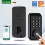 Fechadura Digital RAYKUBE Smart Lock DS02-Aliexpress