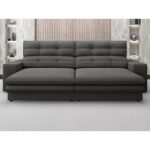 NETSOFAS Pegasus 2