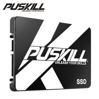 1005006994923125-PUSKILL SSD 512GB