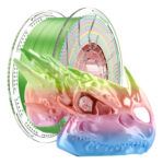 MLB5214646142-Conjure Filamento PLA Seda Arco-íris 1kg 1.75mm