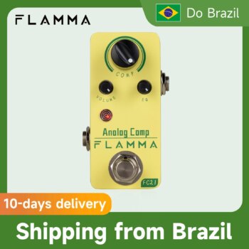 1005008835126726-FLAMMA FC21