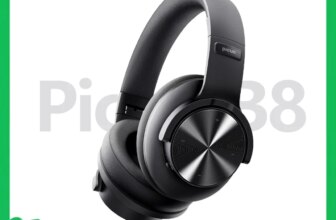 1005010507517124-Picun B8