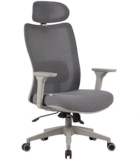 Cadeira Ergonômica Elements Astra Pro Cinza